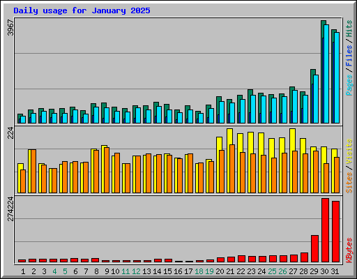 Daily usage for January 2025
