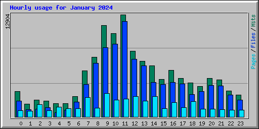 Hourly usage for January 2024