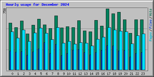 Hourly usage for December 2024