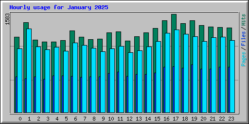Hourly usage for January 2025