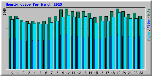 Hourly usage for March 2025