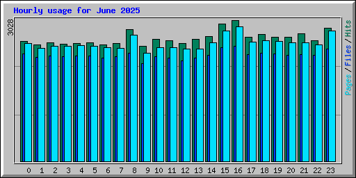 Hourly usage for June 2025