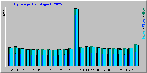 Hourly usage for August 2025