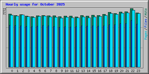 Hourly usage for October 2025