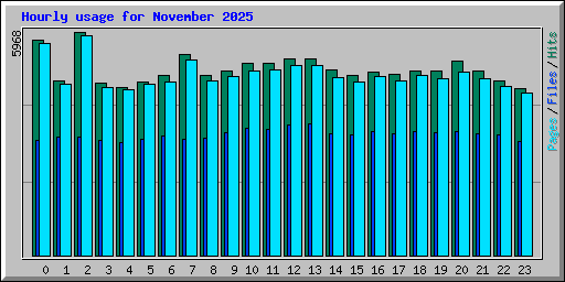Hourly usage for November 2025