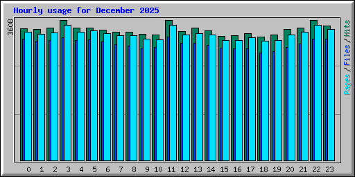 Hourly usage for December 2025