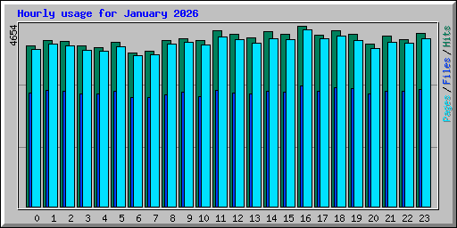 Hourly usage for January 2026
