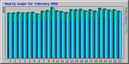 Hourly usage for February 2026