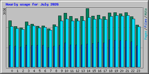 Hourly usage for July 2026
